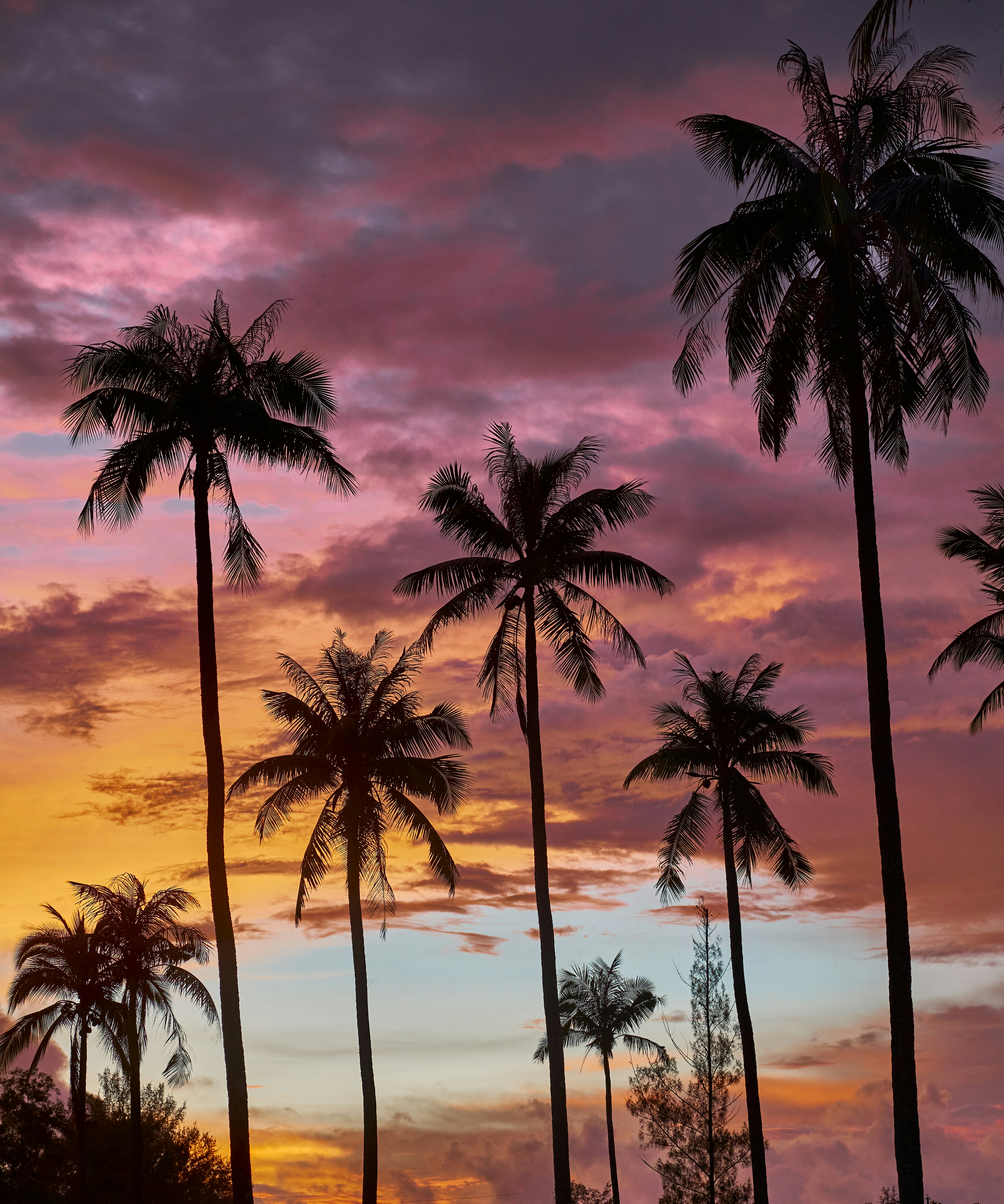 "Royal Benja Hotel \"- NEW SQUARE 4*- - AMATA PATONG 4*  - PATONG PARAGON 5*"