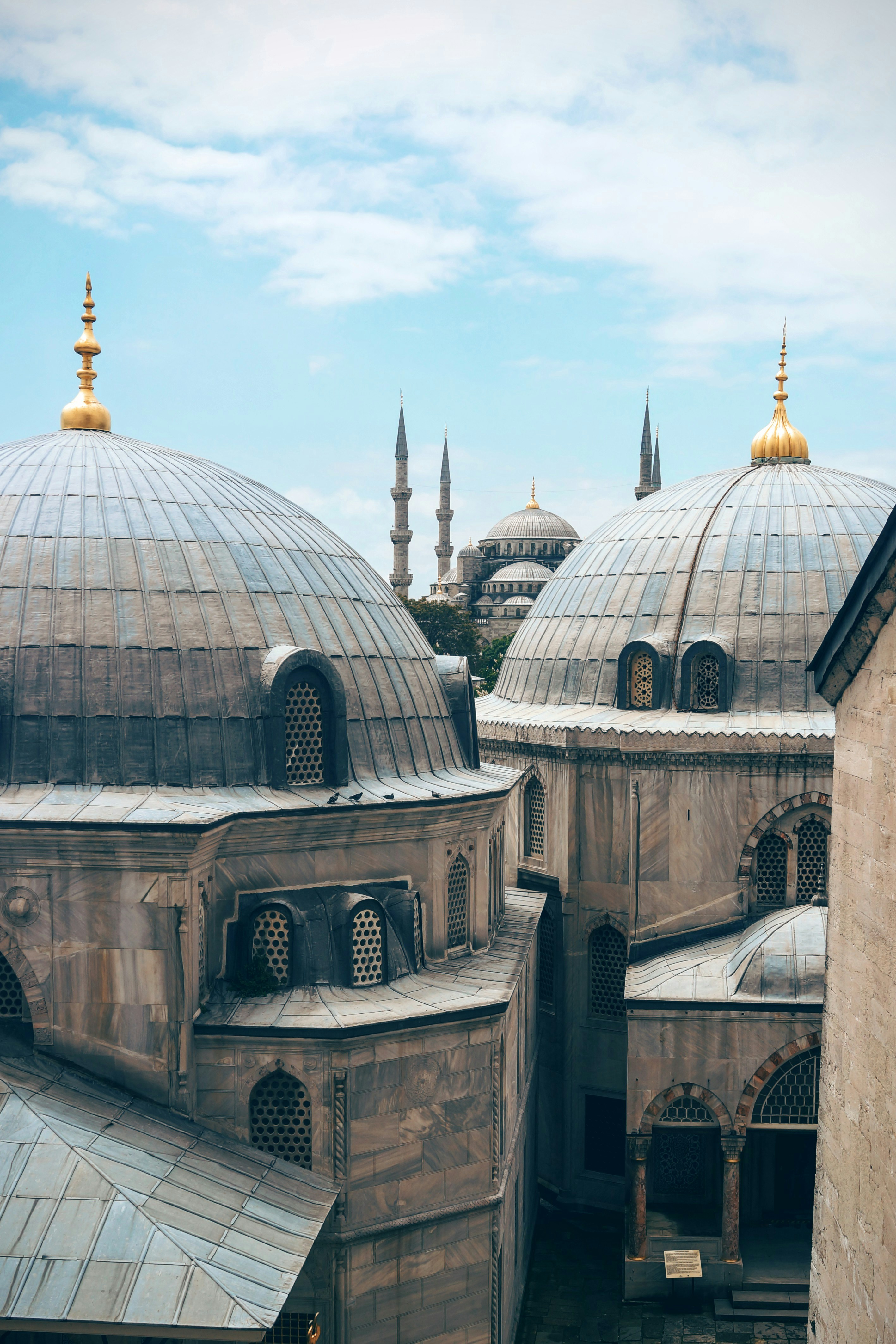 اليوم الخامس - 1